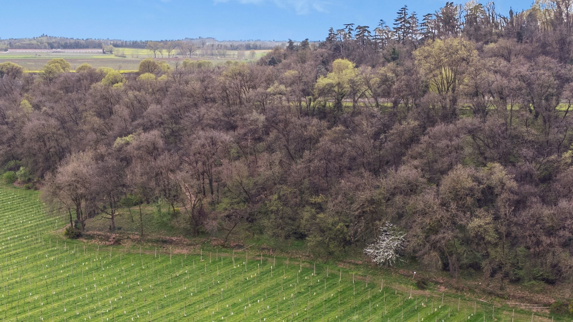 Camping tra le vigne sulle colline moreniche del Garda