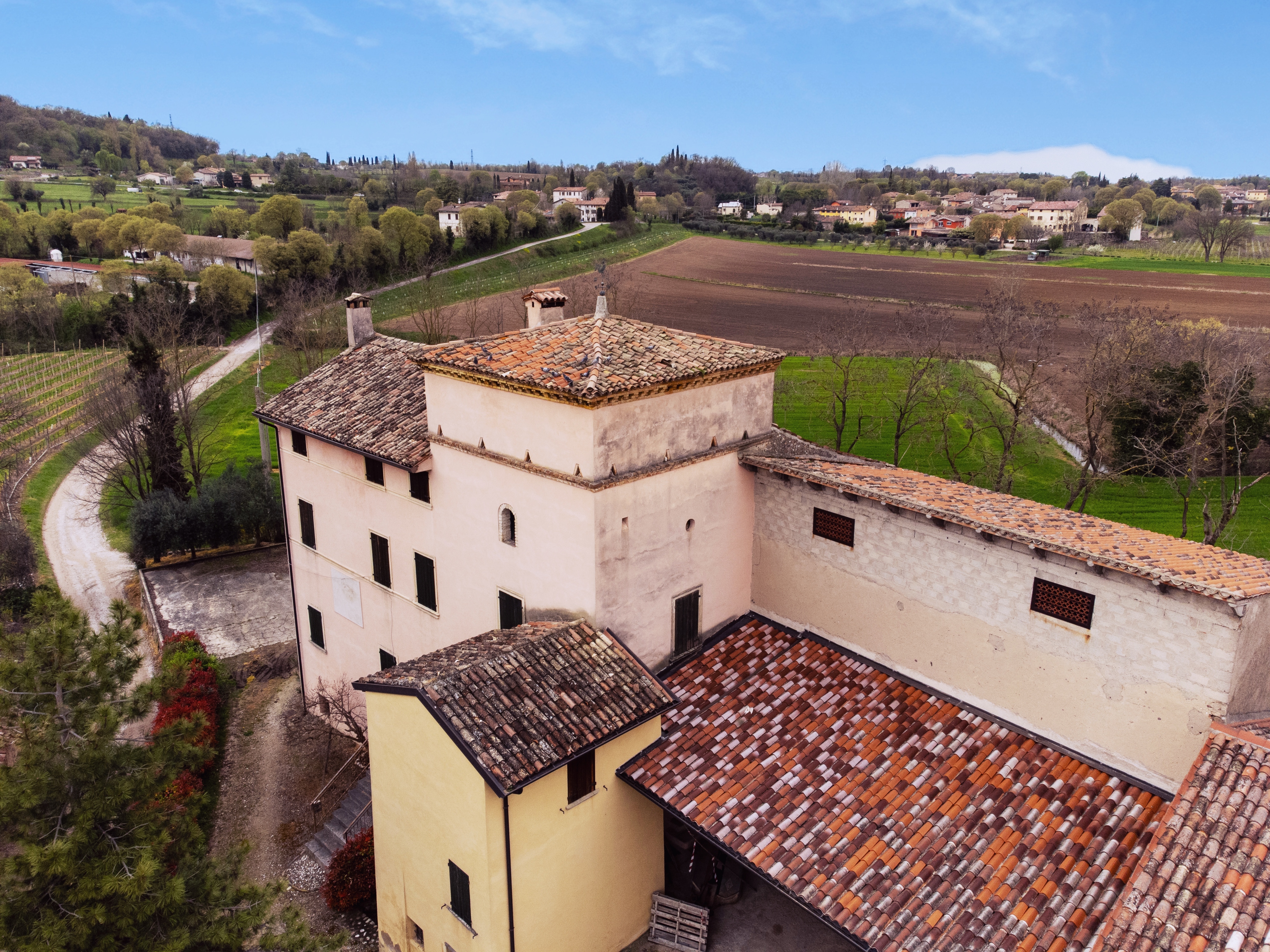 Camping tra le vigne sulle colline moreniche del Garda