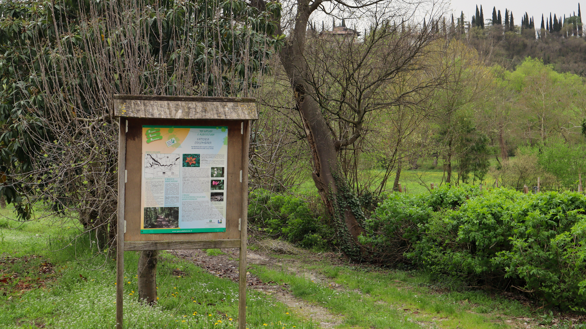 Camping tra le vigne sulle colline moreniche del Garda