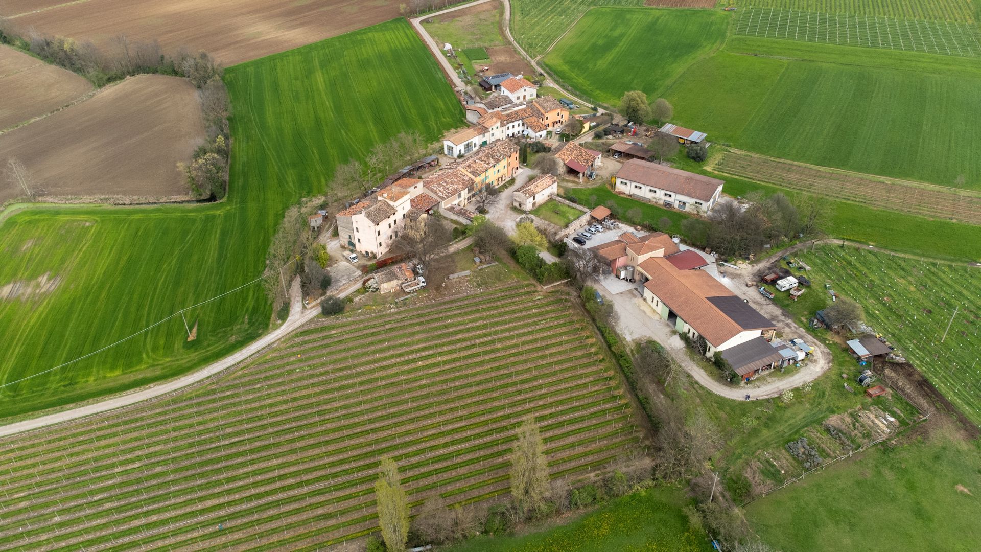 Camping tra le vigne sulle colline moreniche del Garda