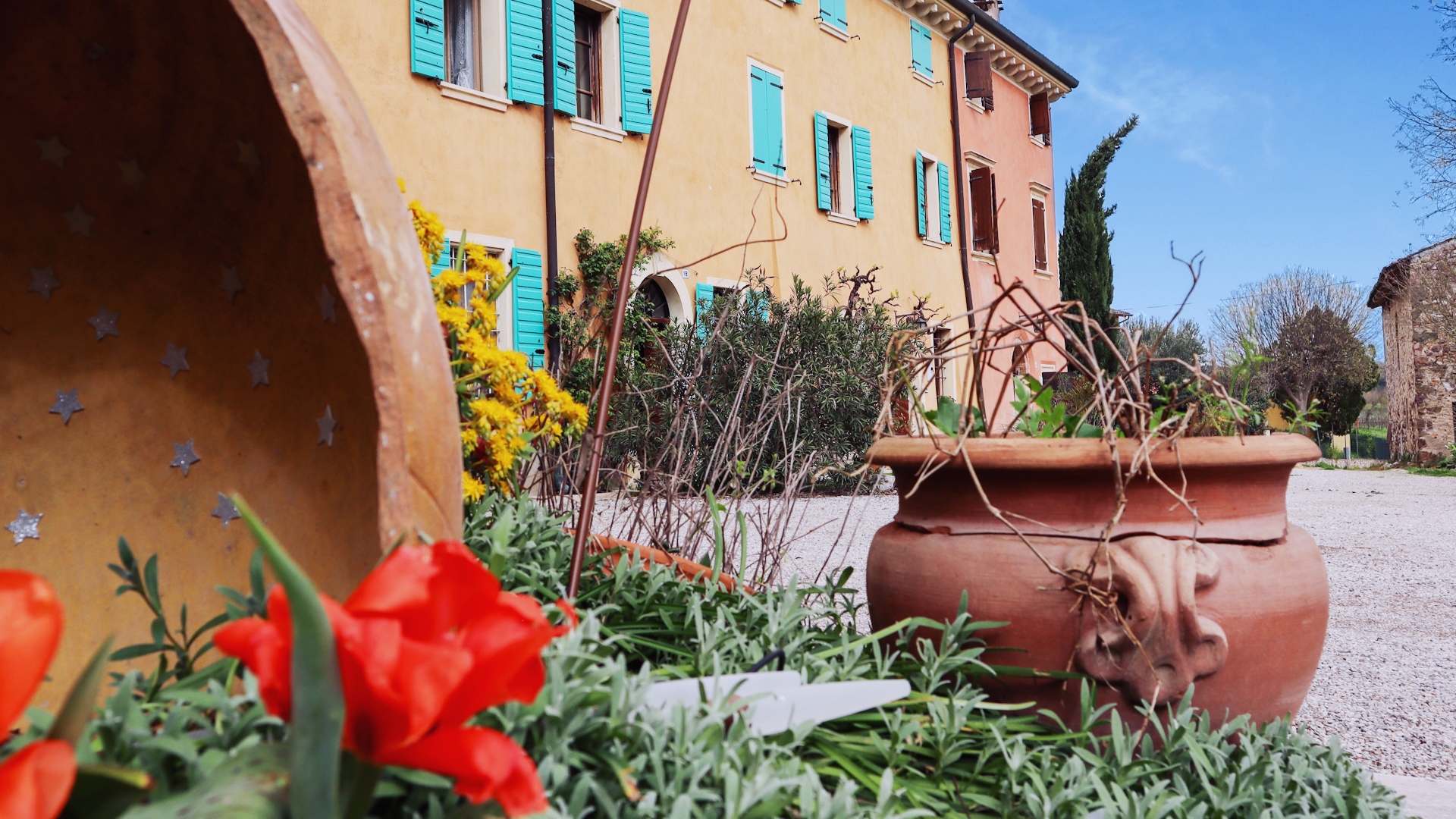 Camping tra le vigne sulle colline moreniche del Garda