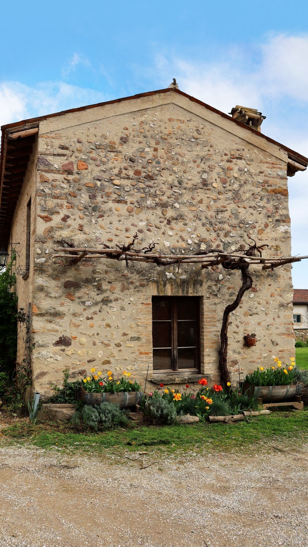 Camping tra le vigne sulle colline moreniche del Garda