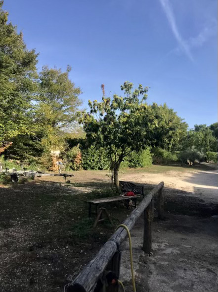 Piazzola al Parco dei Cimini di Viterbo