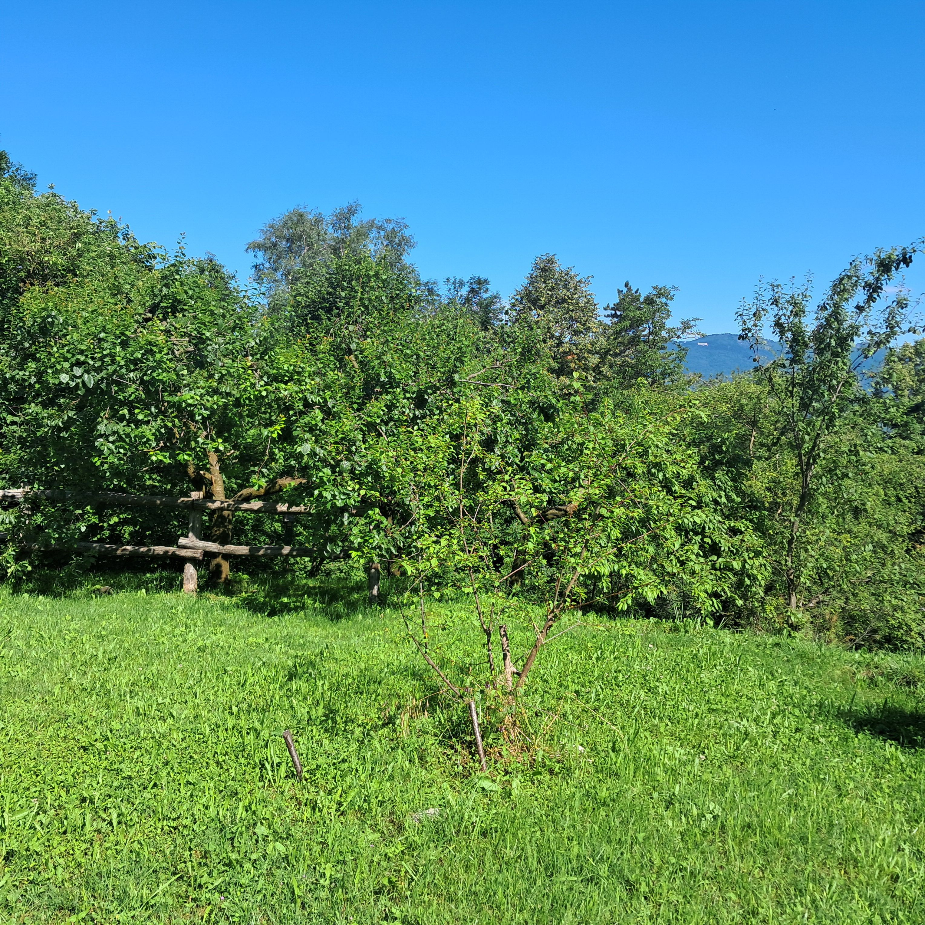 Natura e Relax vicino al Lago Maggiore