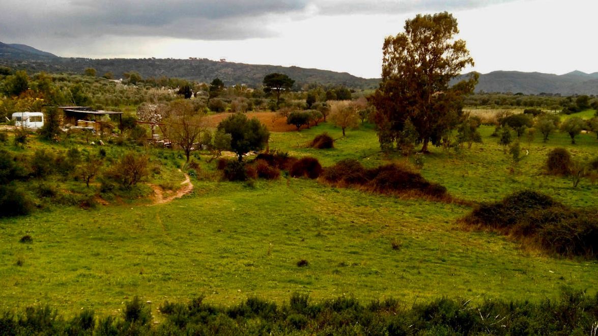 Landwirtschaftliches Anwesen - S'Arriu Mannu