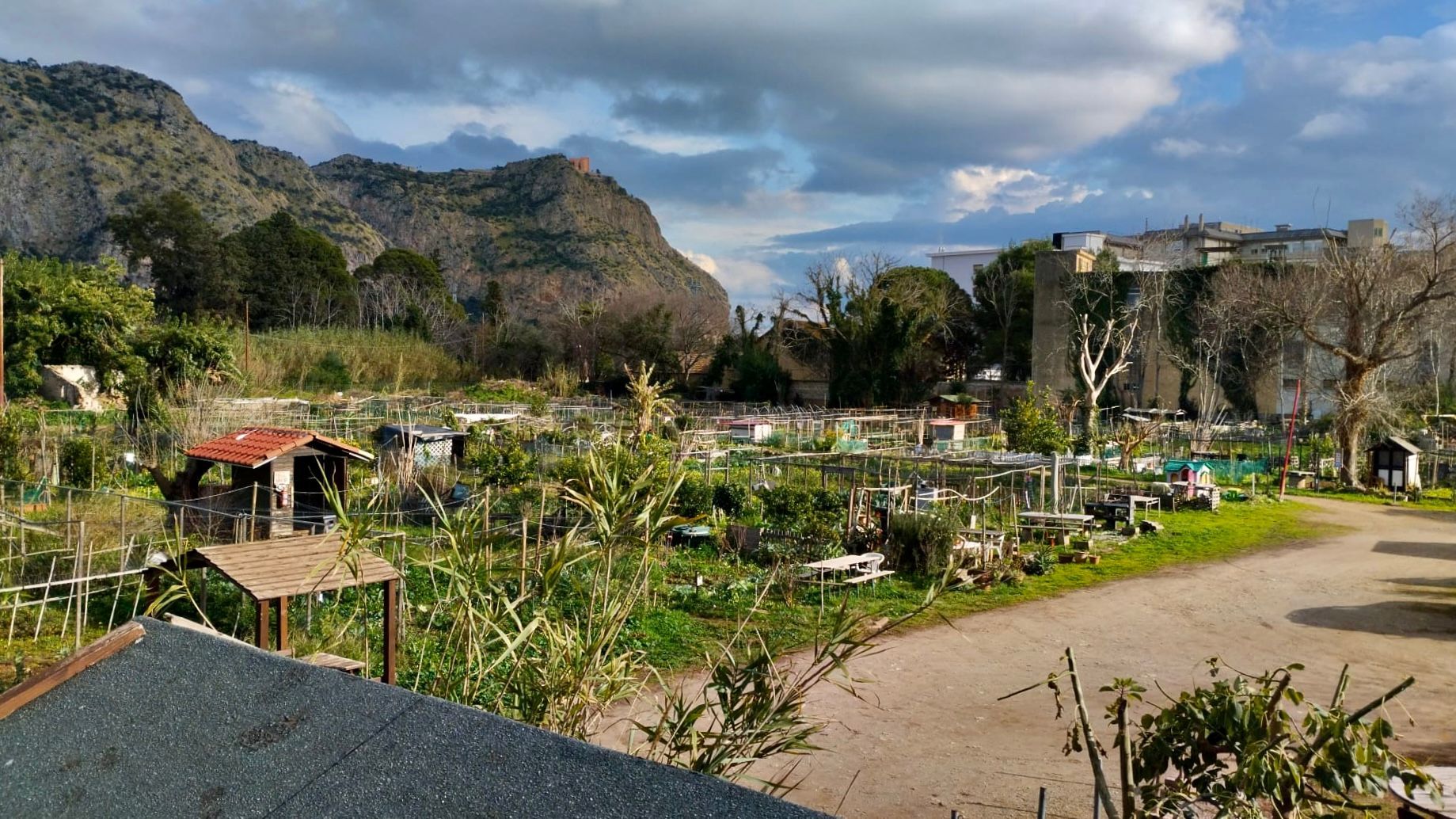 Nella Natura degli Orti Urbani di Palermo