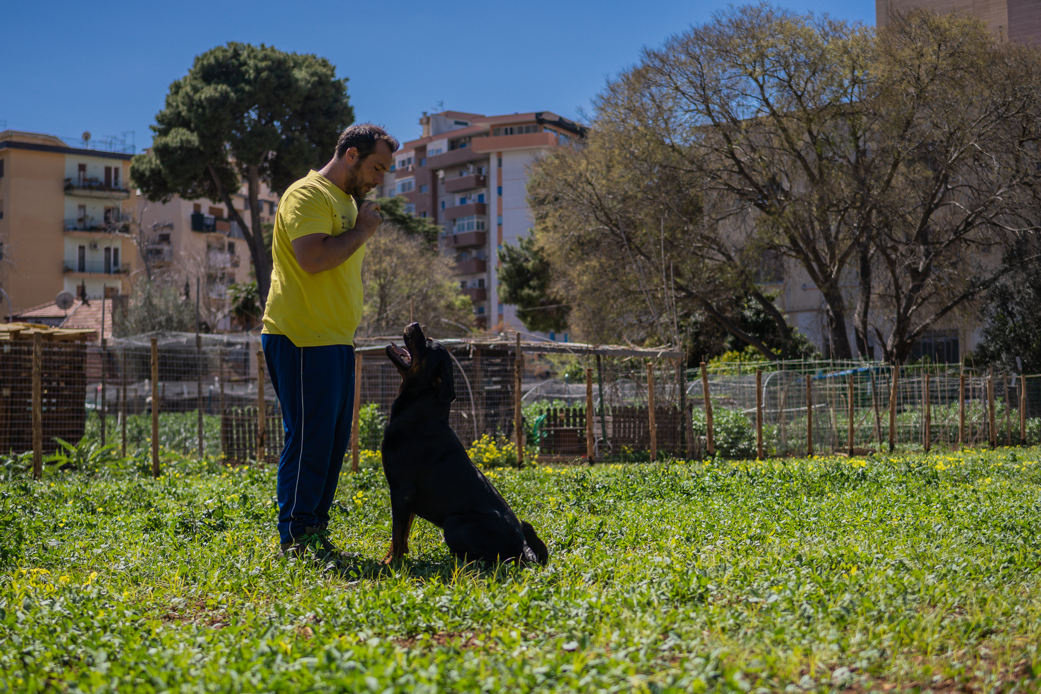 Nella Natura degli Orti Urbani di Palermo