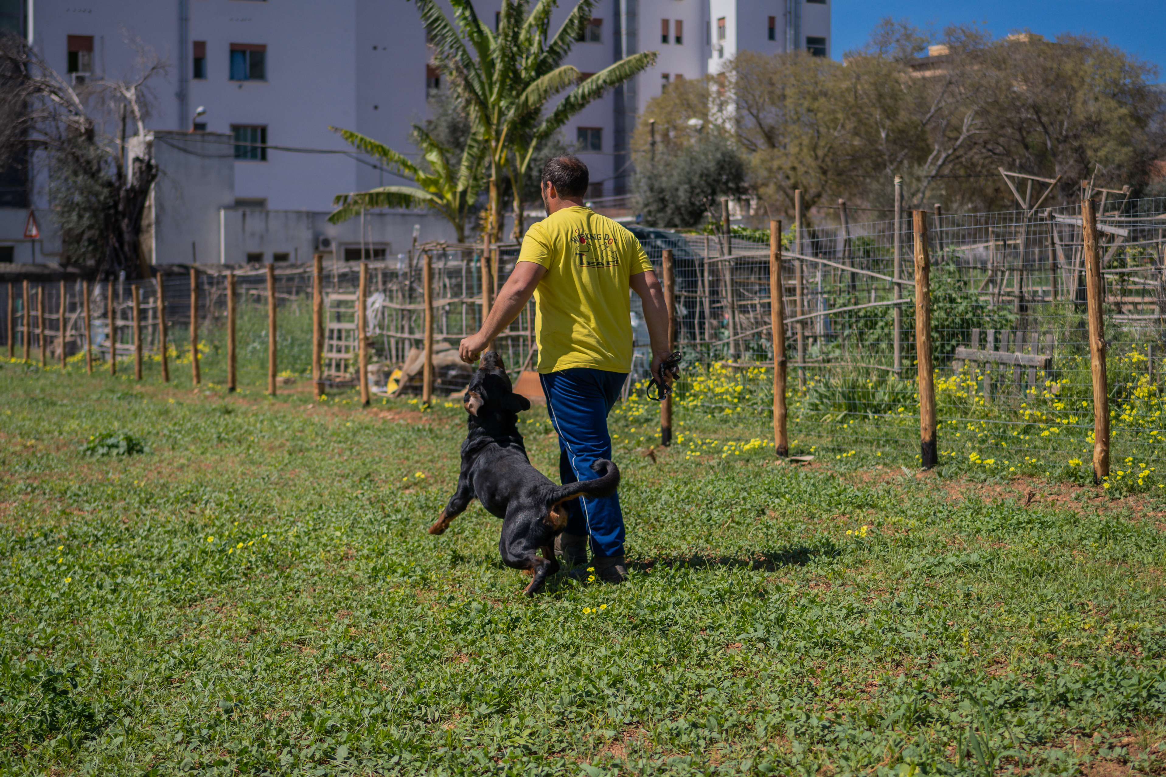 Nella Natura degli Orti Urbani di Palermo