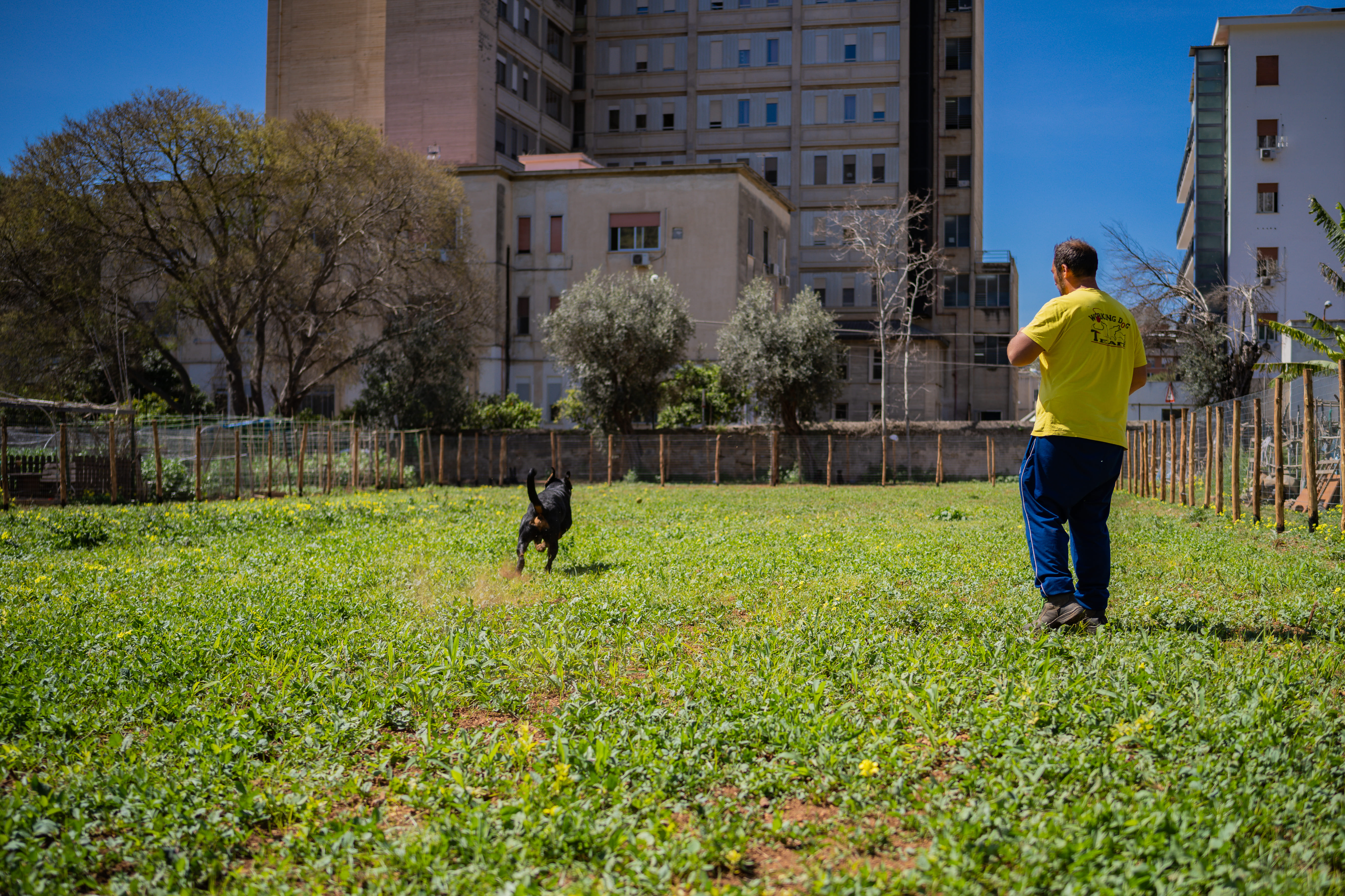 Nella Natura degli Orti Urbani di Palermo