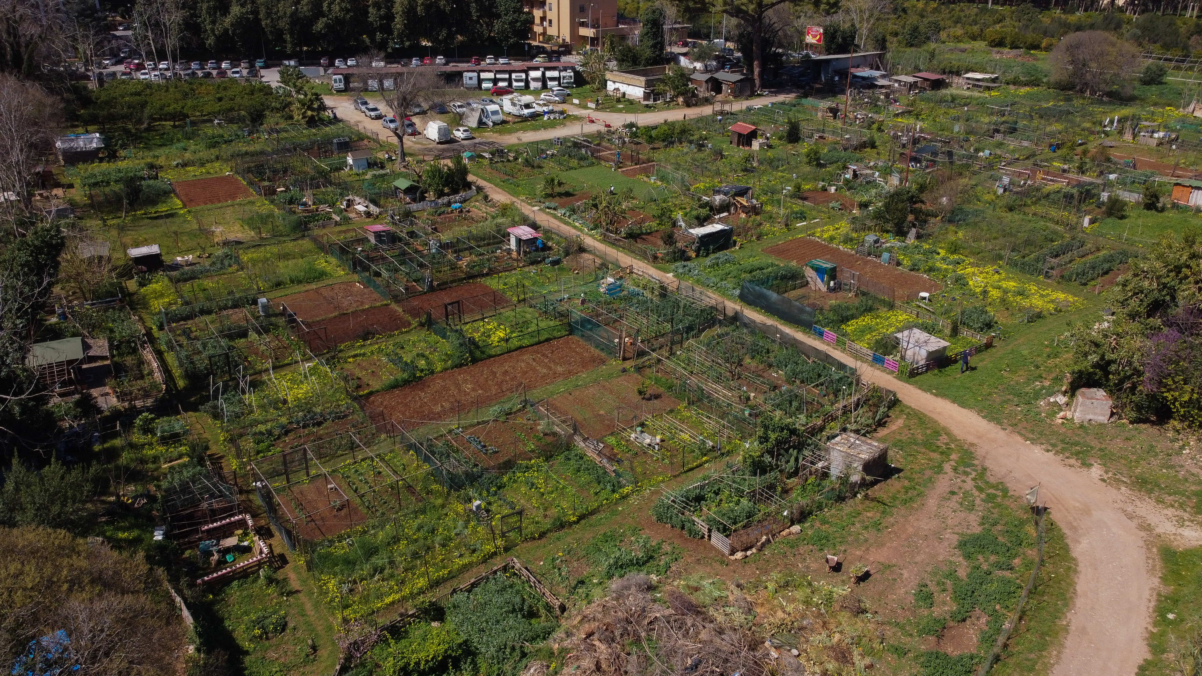 Nella Natura degli Orti Urbani di Palermo