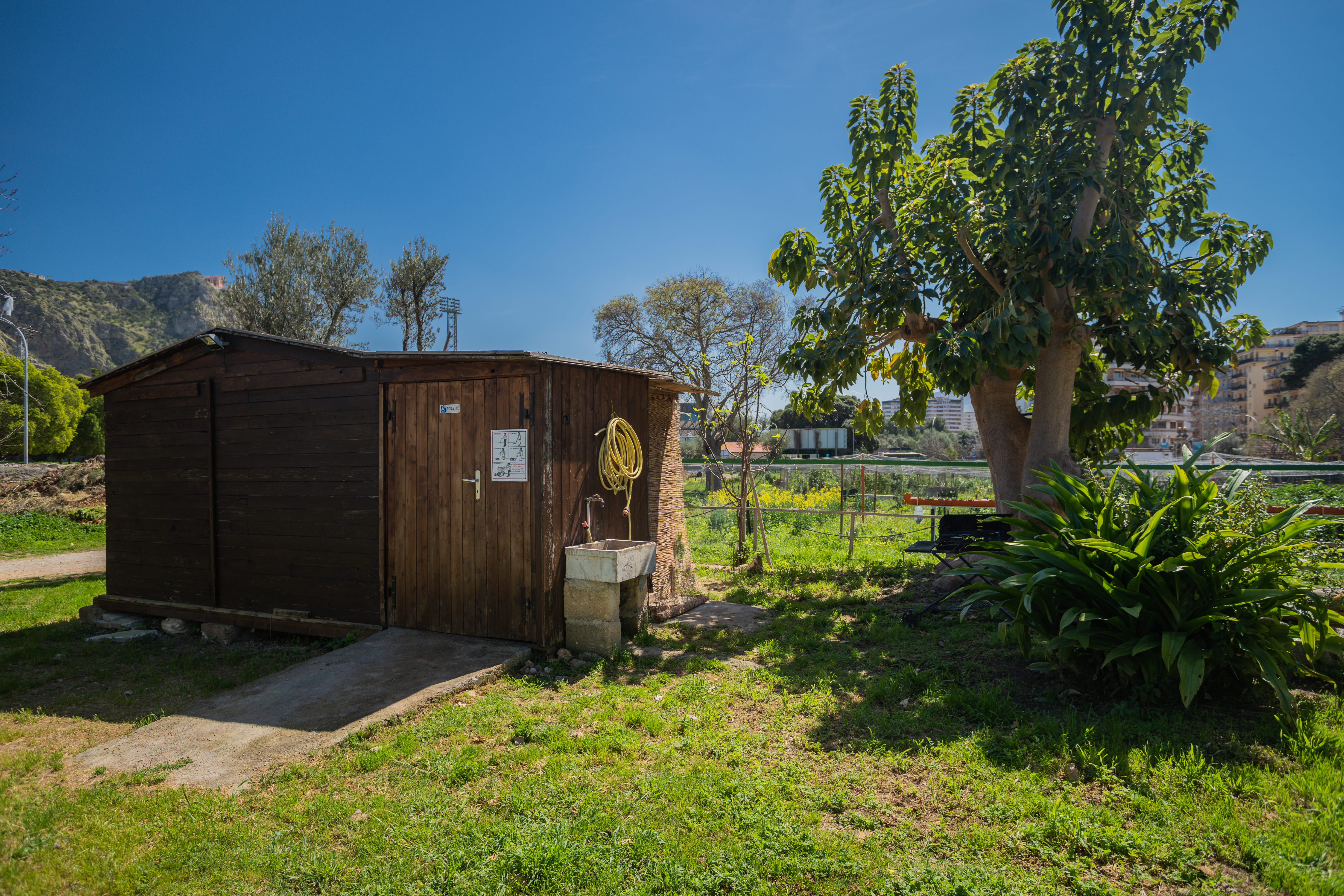 Nella Natura degli Orti Urbani di Palermo