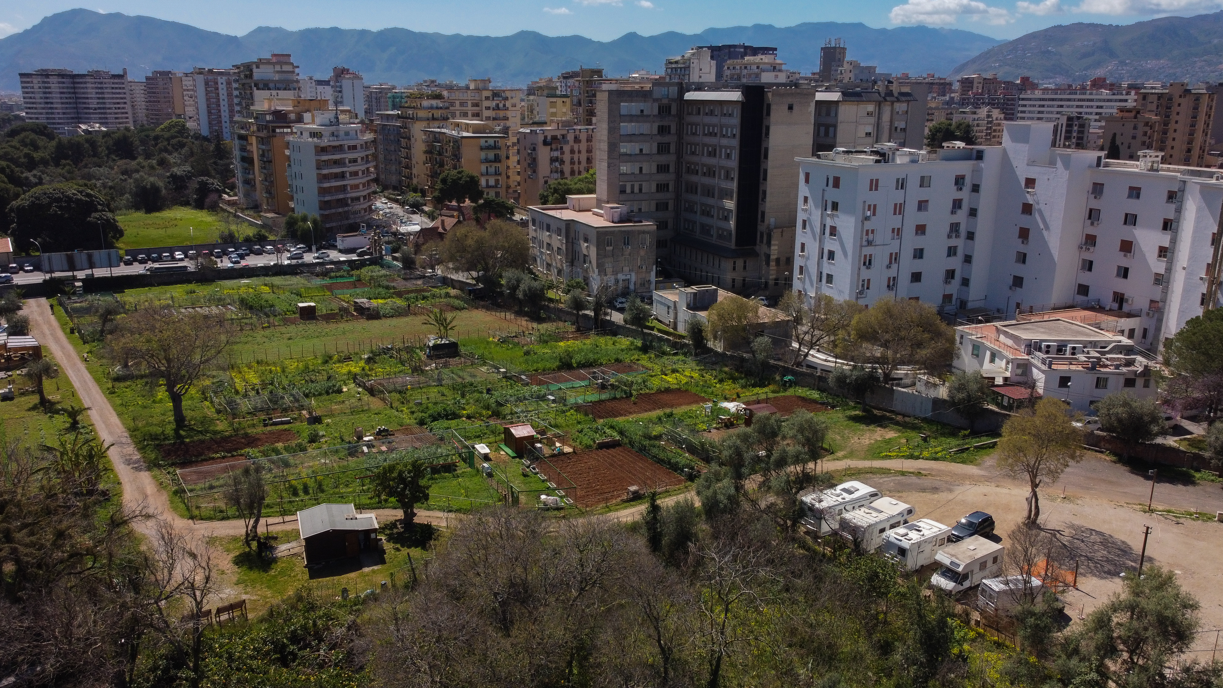 Nella Natura degli Orti Urbani di Palermo