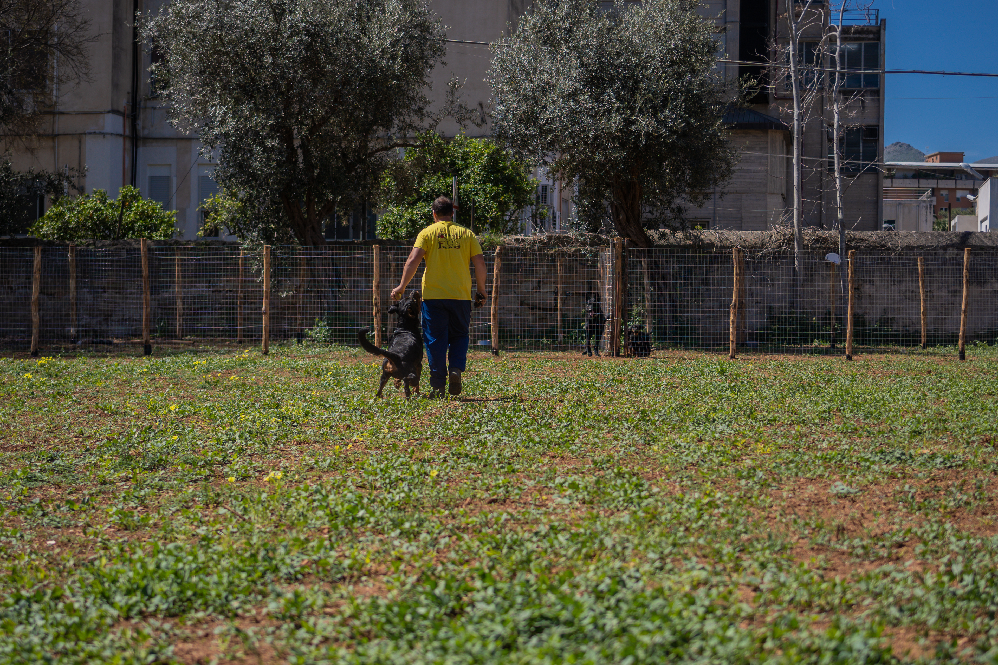 Nella Natura degli Orti Urbani di Palermo