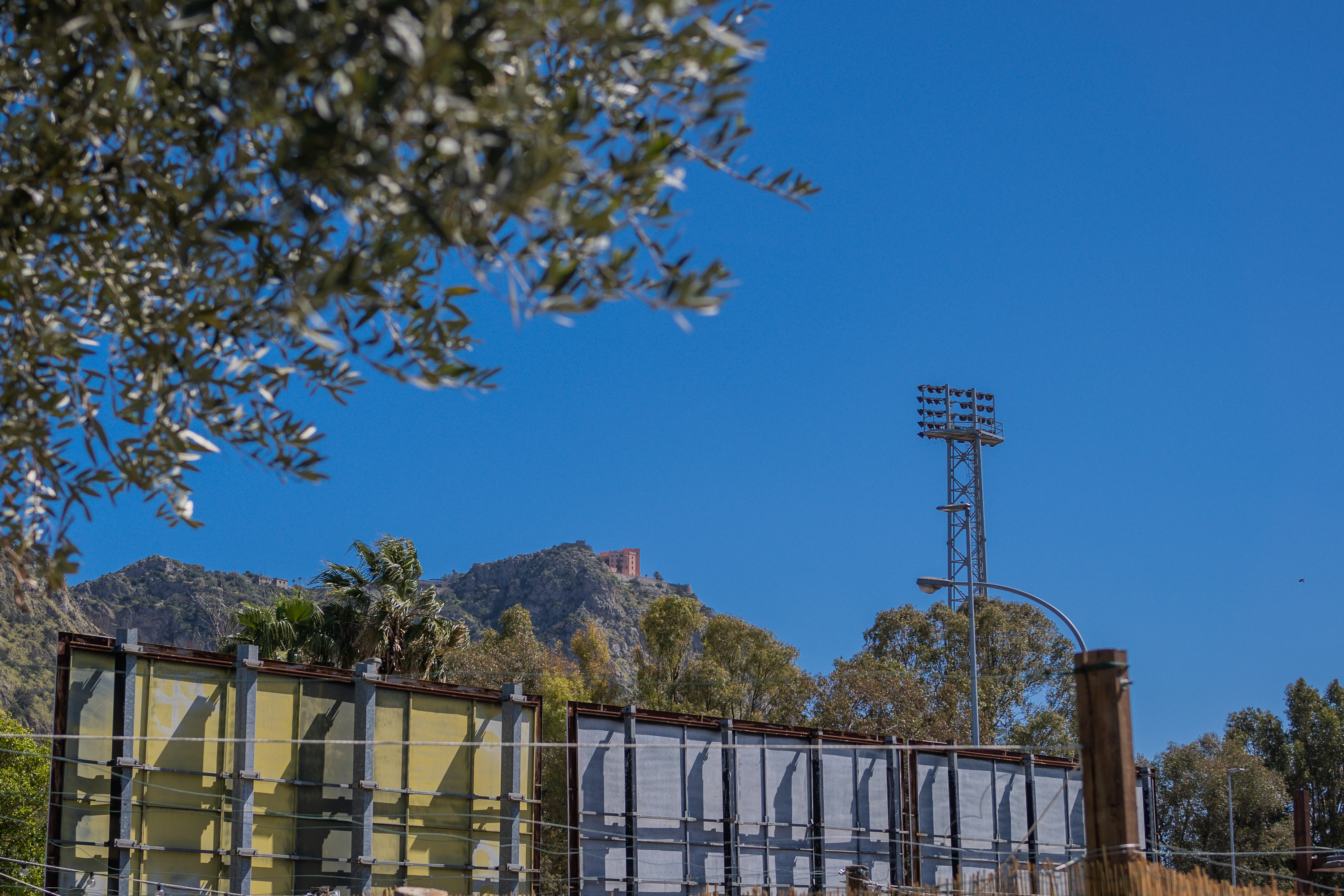 Nella Natura degli Orti Urbani di Palermo