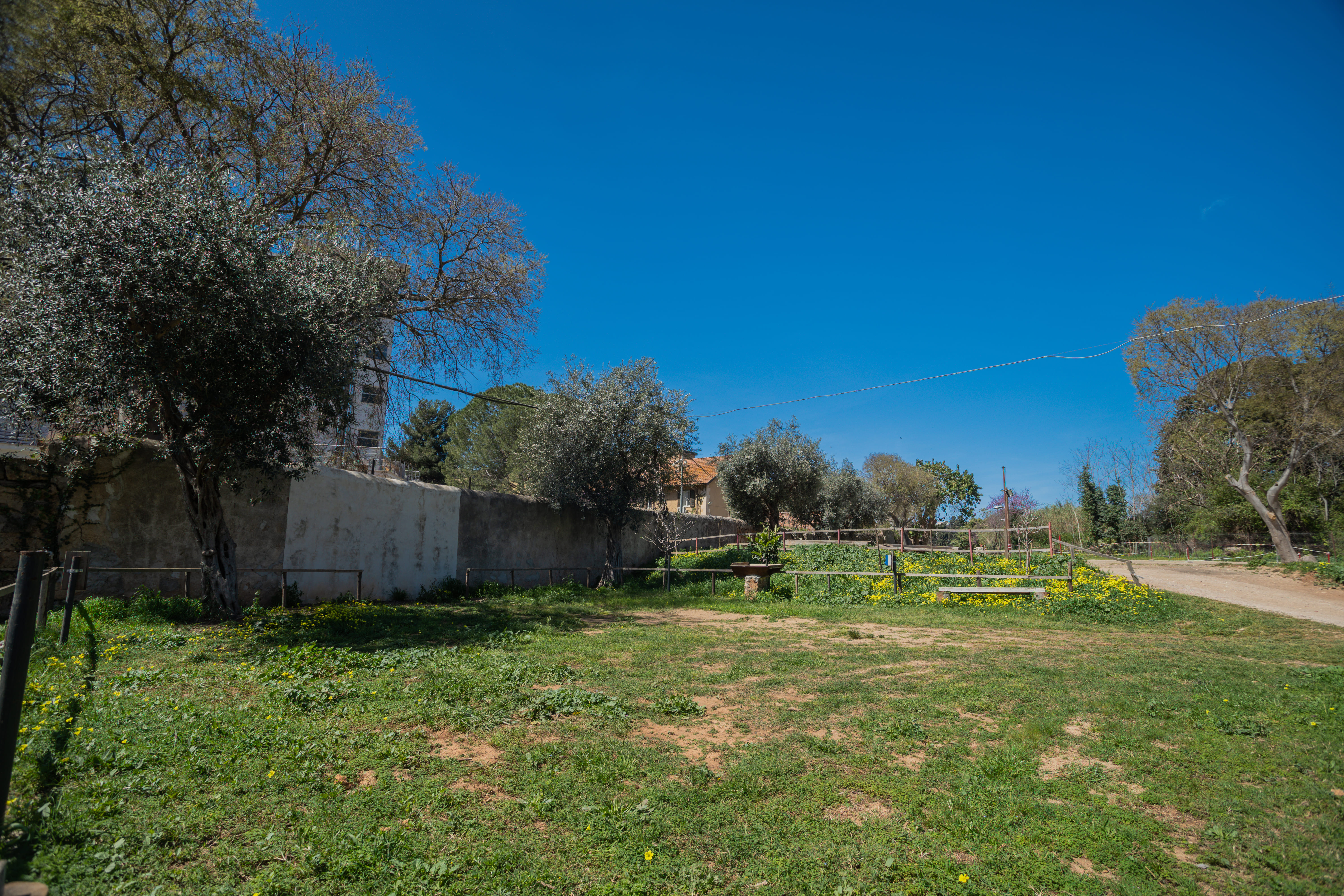 Nella Natura degli Orti Urbani di Palermo