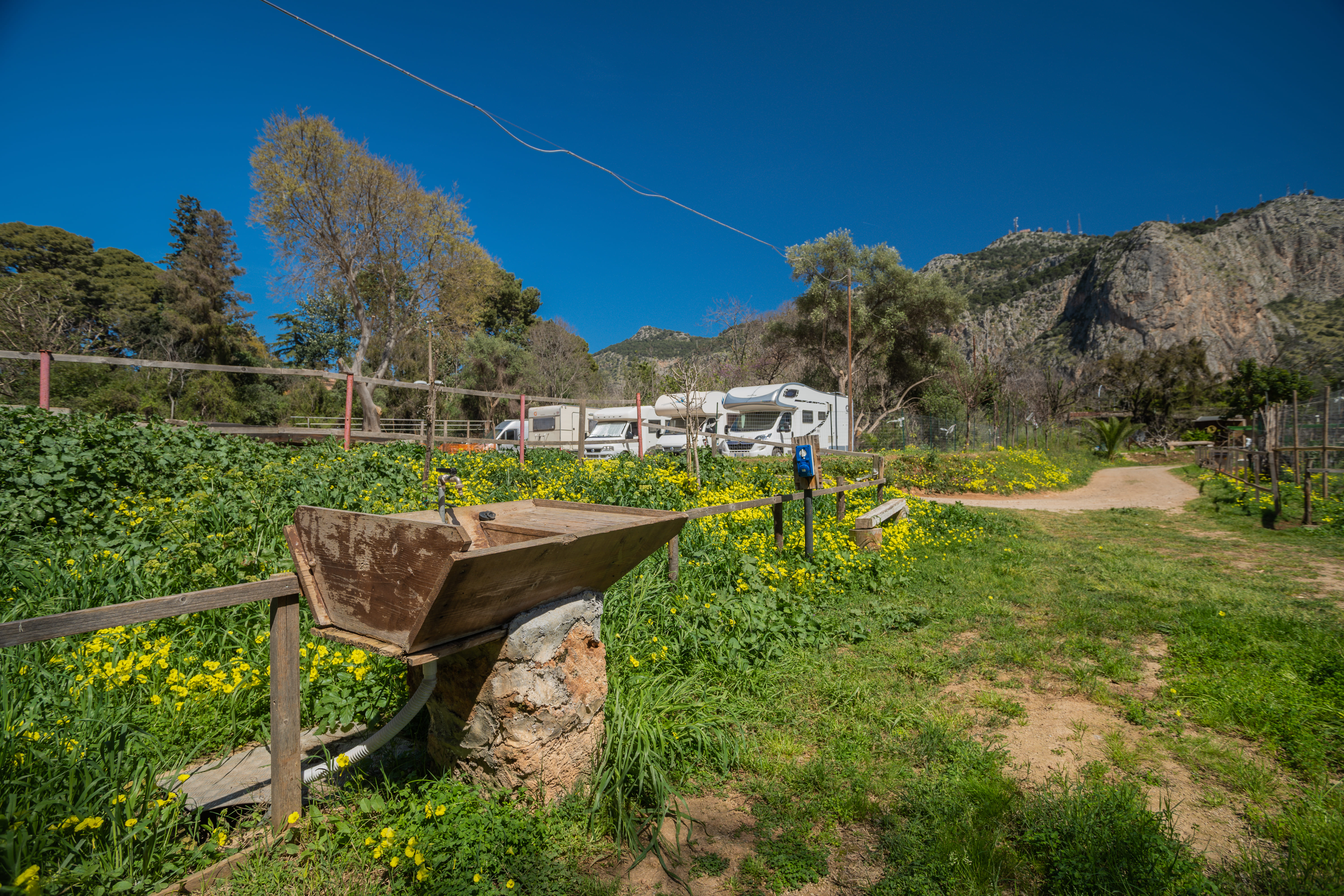 Nella Natura degli Orti Urbani di Palermo