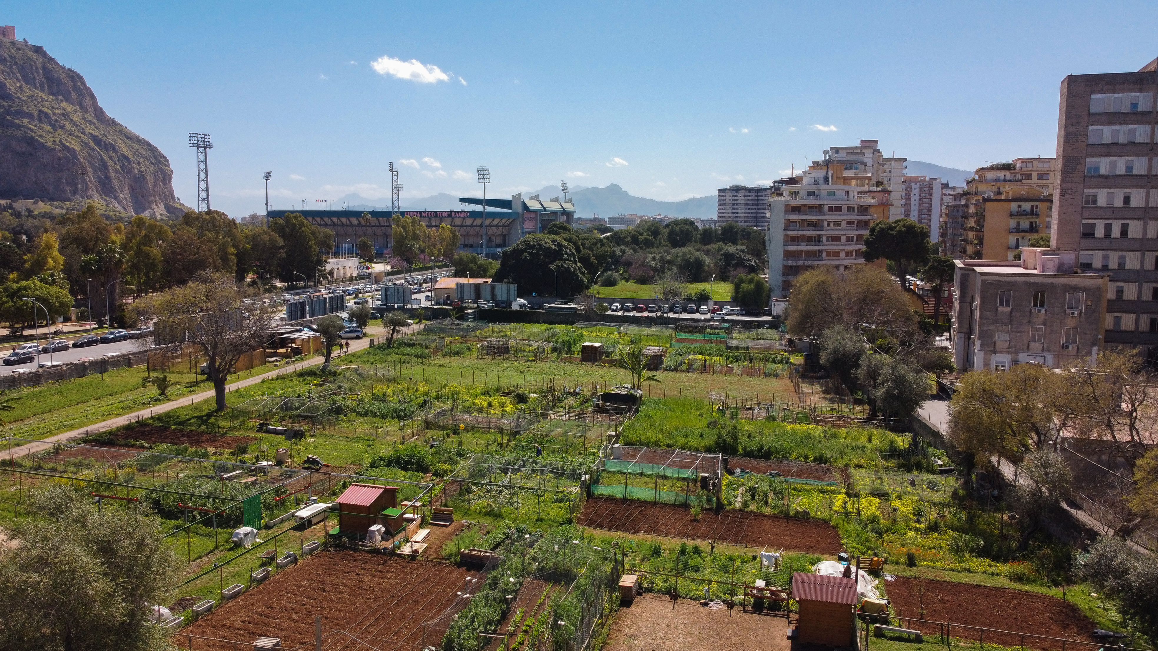 Nella Natura degli Orti Urbani di Palermo