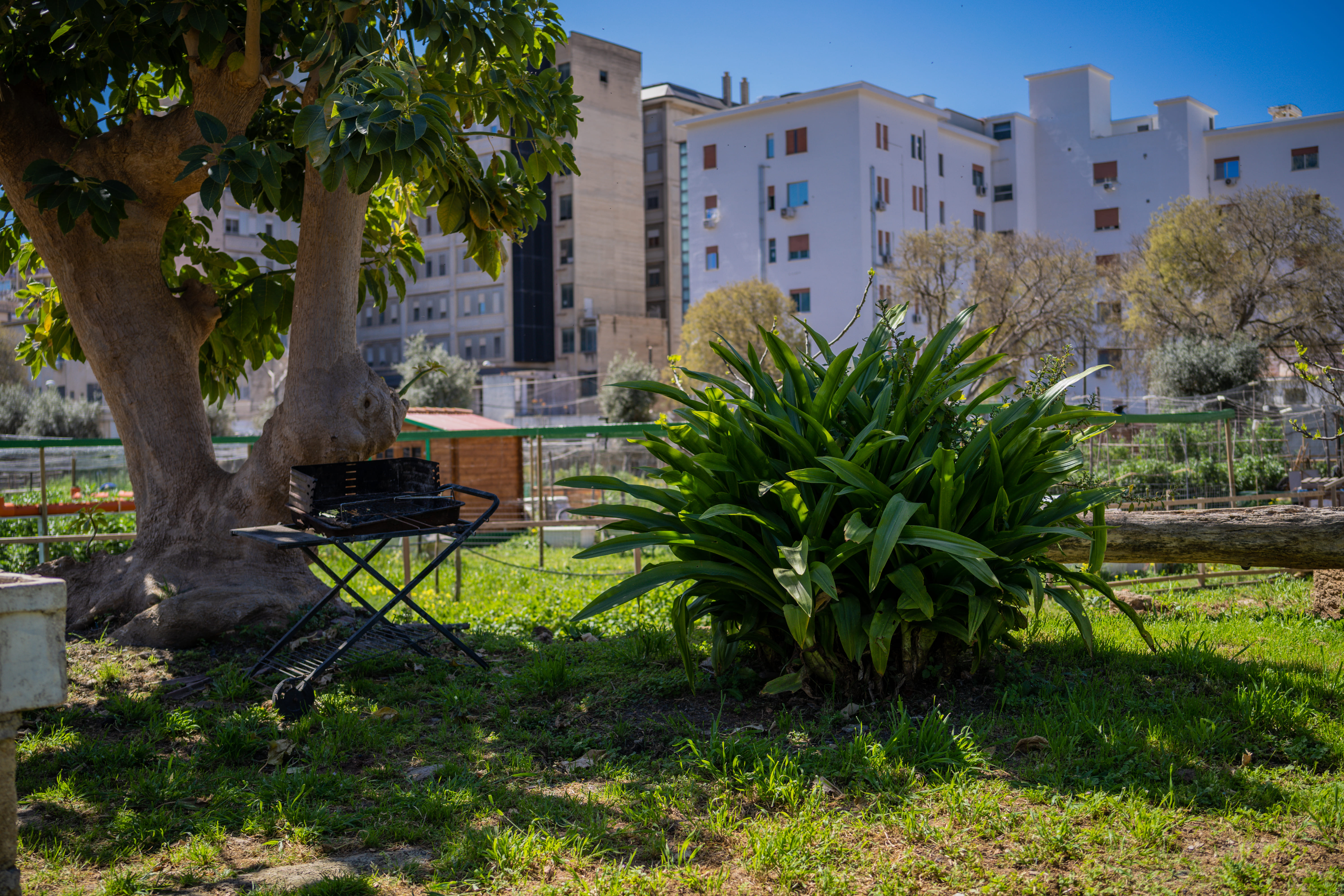 Nella Natura degli Orti Urbani di Palermo