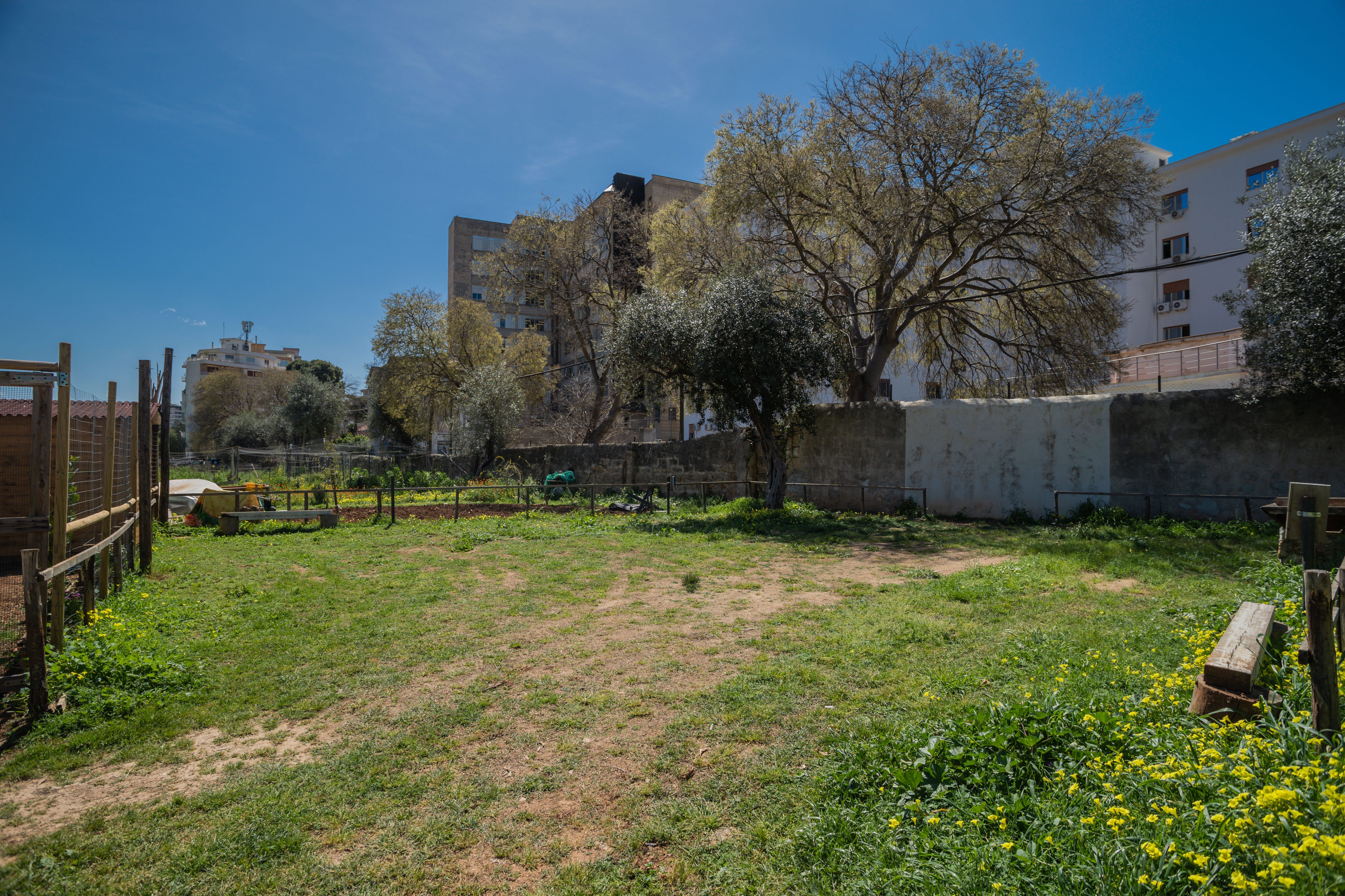 Nella Natura degli Orti Urbani di Palermo