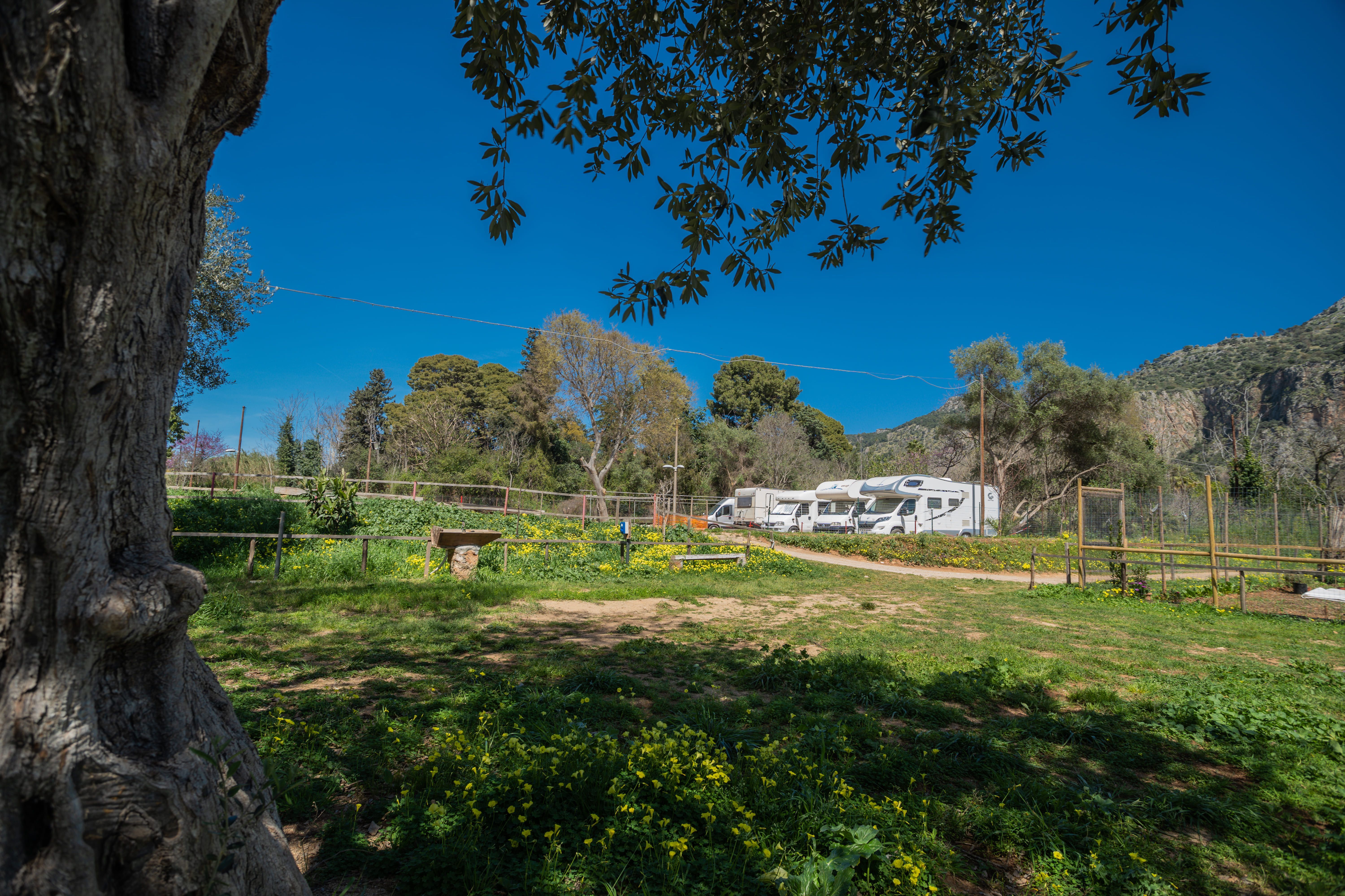 Nella Natura degli Orti Urbani di Palermo