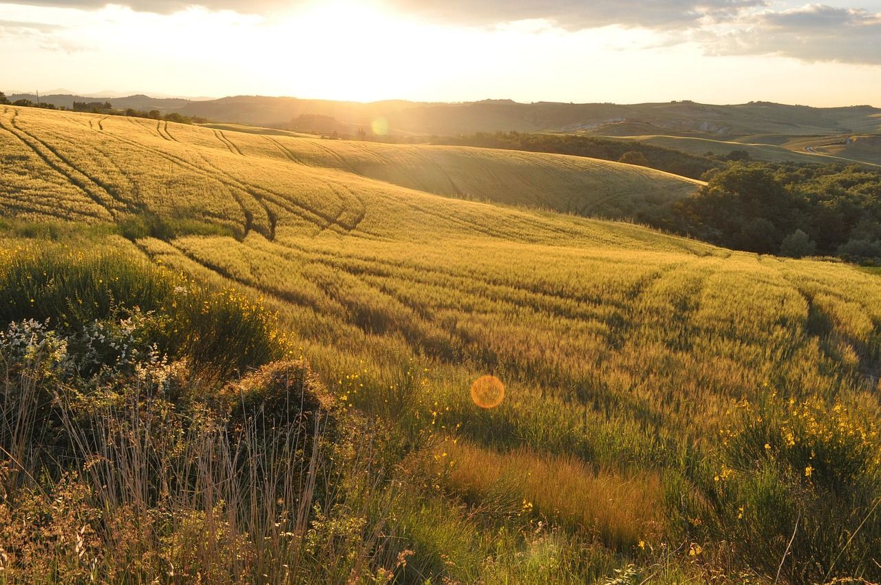 Spazio tenda a Vinci lungo i cammini della Toscana
