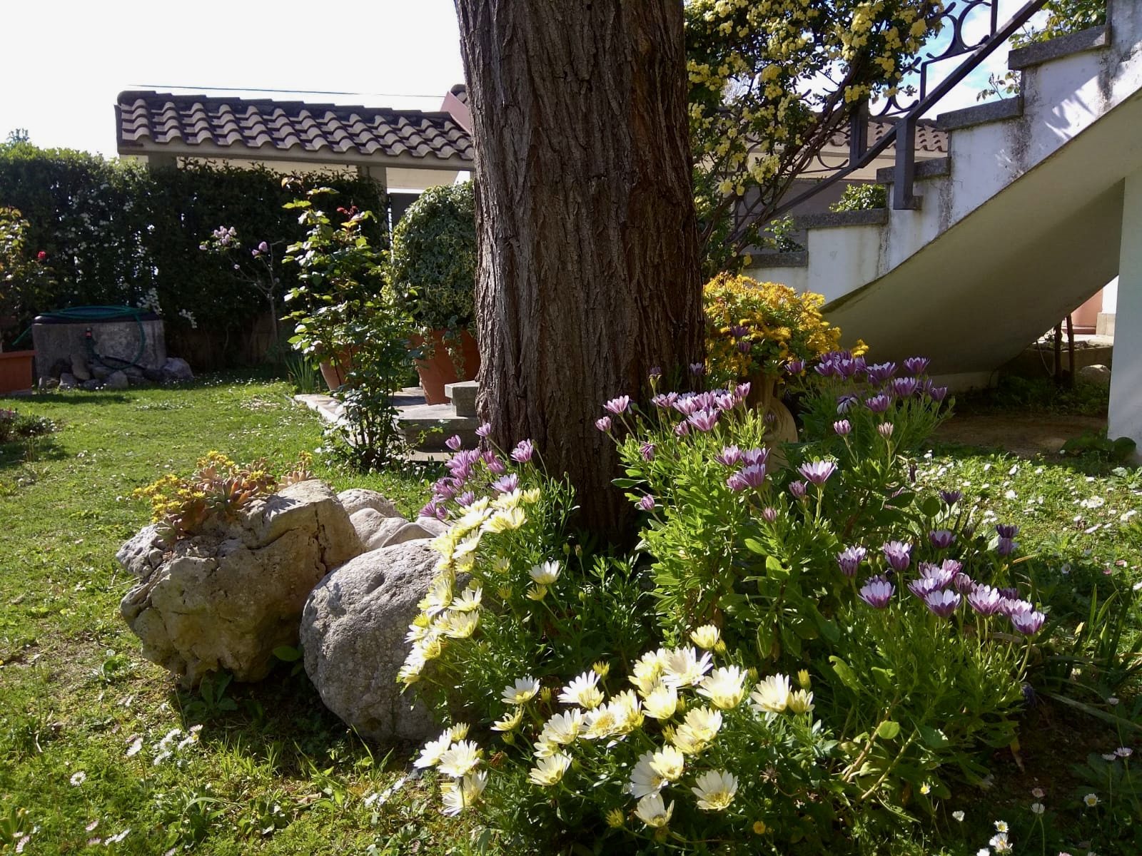 Giardino con piscina e vista su Gran Sasso e Majella