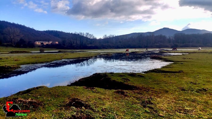 Ecosantuario Equincontro Natura! Vivi la natura e i cavalli nel Parco dei Castelli Romani