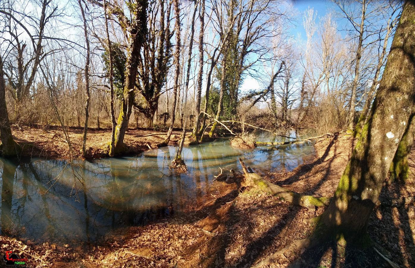 Ecosantuario Equincontro Natura! Vivi la natura e i cavalli nel Parco dei Castelli Romani
