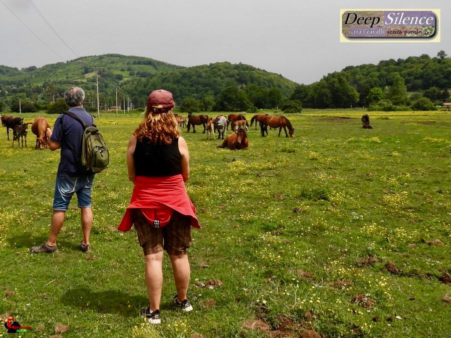 Ecosantuario Equincontro Natura! Vivi la natura e i cavalli nel Parco dei Castelli Romani