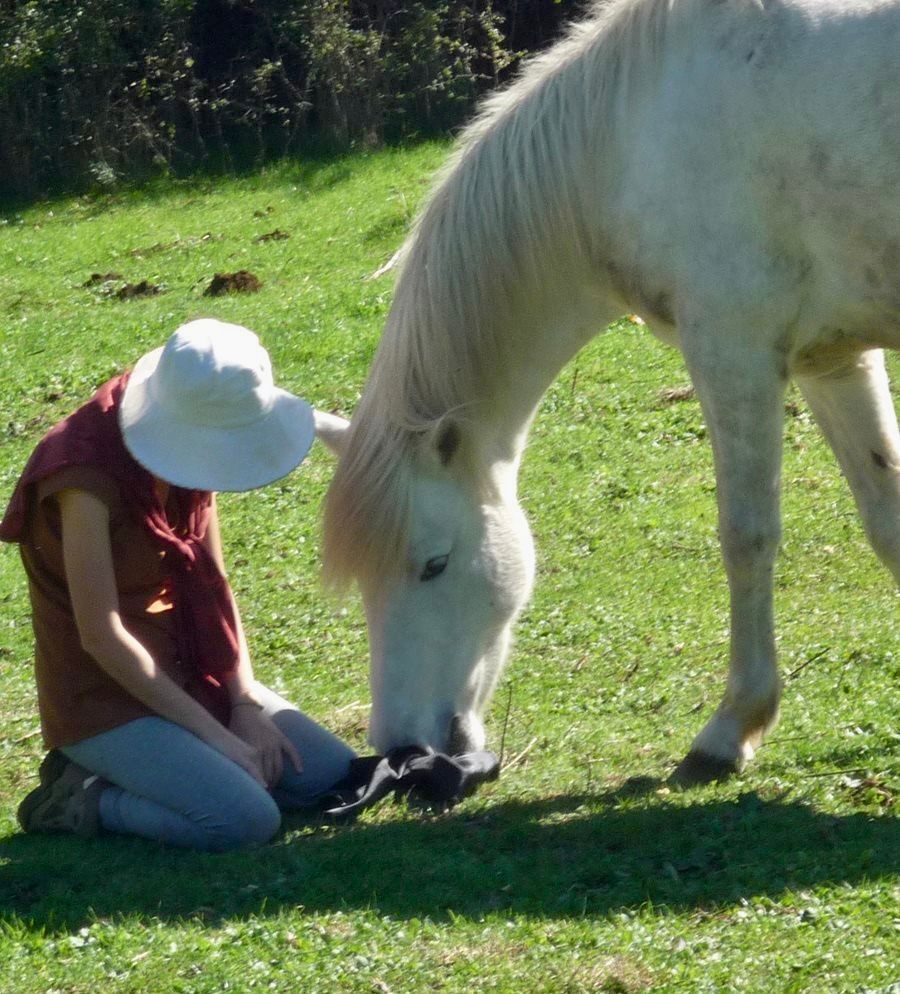 Ecosantuario Equincontro Natura! Vivi la natura e i cavalli nel Parco dei Castelli Romani
