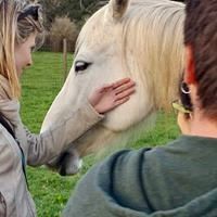 Ecosantuario Equincontro Natura! Vivi la natura e i cavalli nel Parco dei Castelli Romani