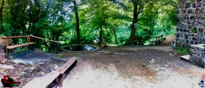Ecosantuario Equincontro Natura! Vivi la natura e i cavalli nel Parco dei Castelli Romani