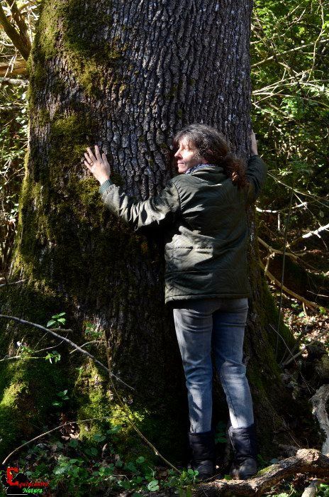 Ecosantuario Equincontro Natura! Vivi la natura e i cavalli nel Parco dei Castelli Romani