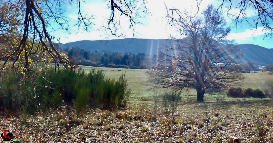 Ecosantuario Equincontro Natura! Vivi la natura e i cavalli nel Parco dei Castelli Romani
