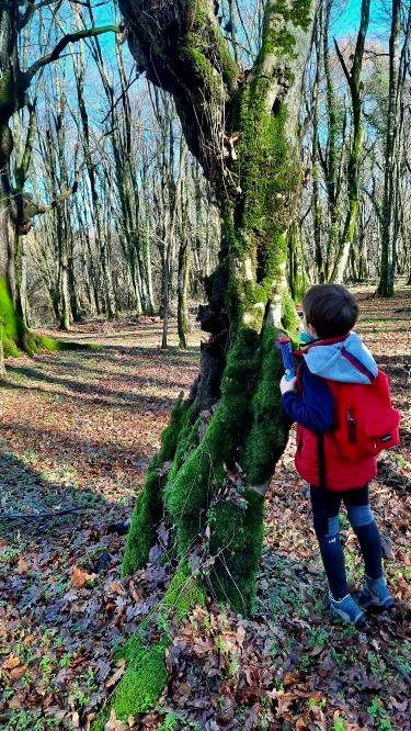 Ecosantuario Equincontro Natura! Vivi la natura e i cavalli nel Parco dei Castelli Romani