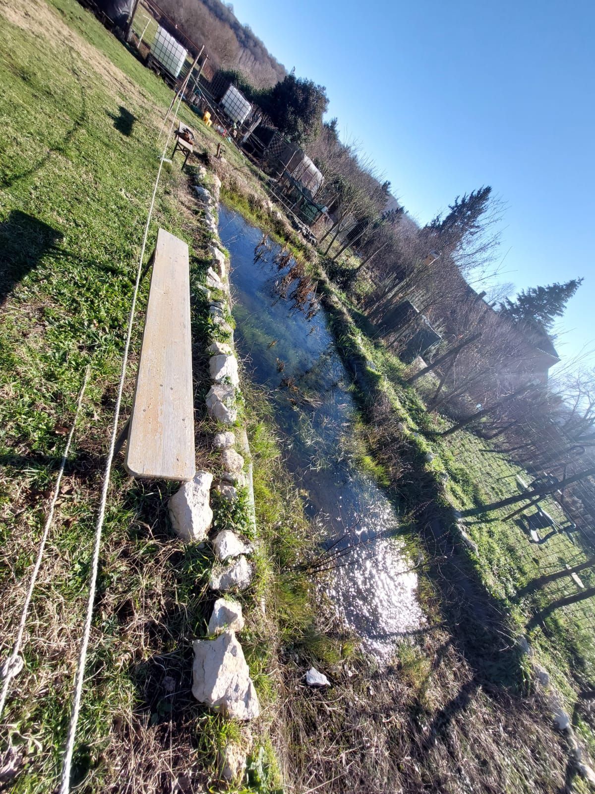 Ecosantuario Equincontro Natura! Vivi la natura e i cavalli nel Parco dei Castelli Romani