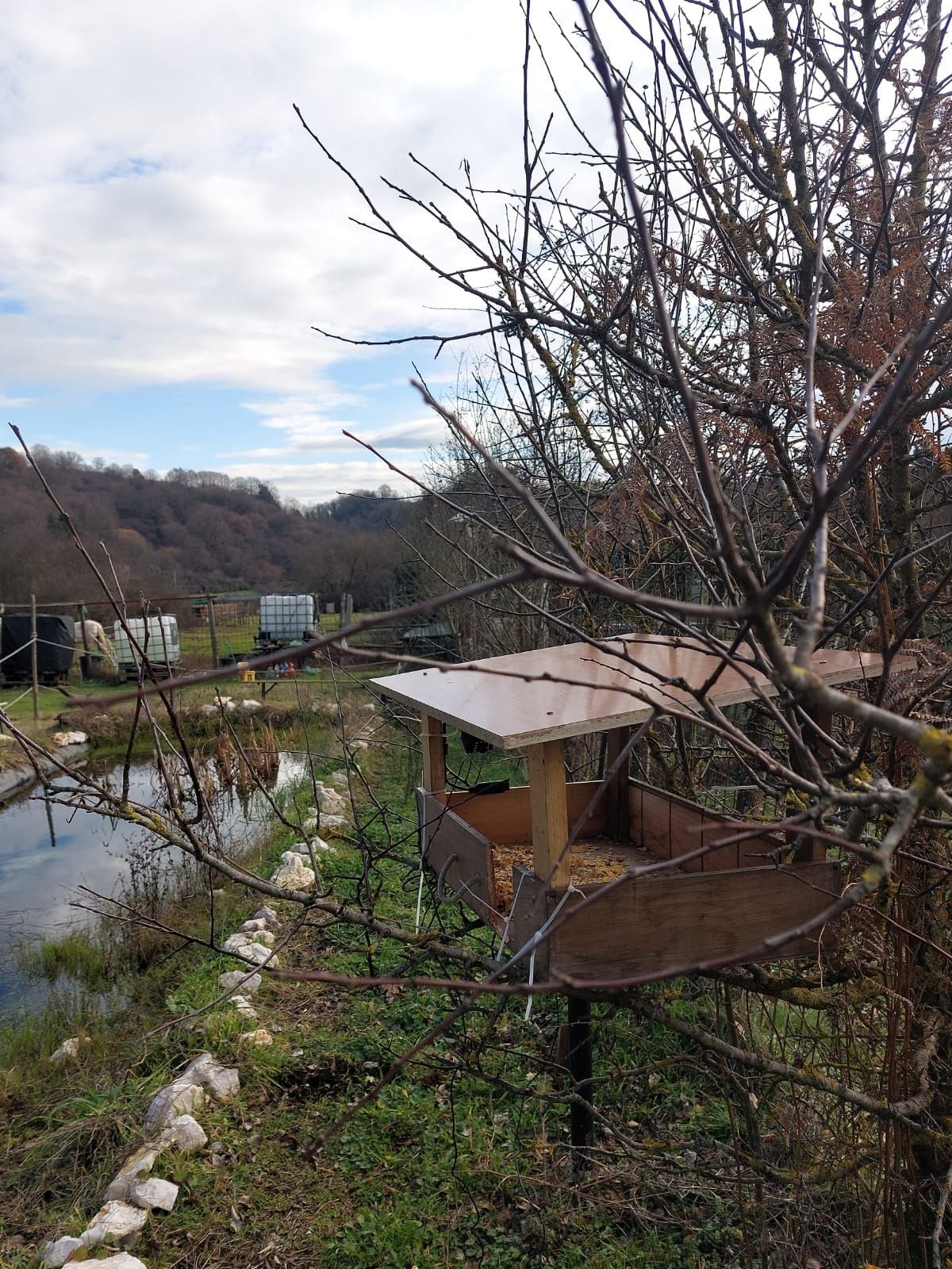 Ecosantuario Equincontro Natura! Vivi la natura e i cavalli nel Parco dei Castelli Romani