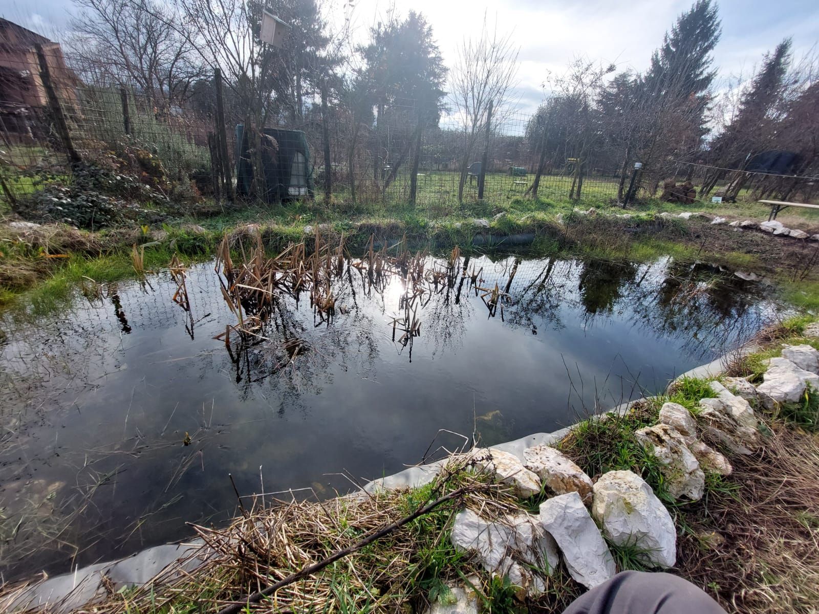 Ecosantuario Equincontro Natura! Vivi la natura e i cavalli nel Parco dei Castelli Romani