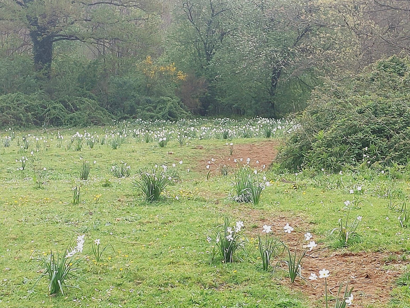 Ecosantuario Equincontro Natura! Vivi la natura e i cavalli nel Parco dei Castelli Romani