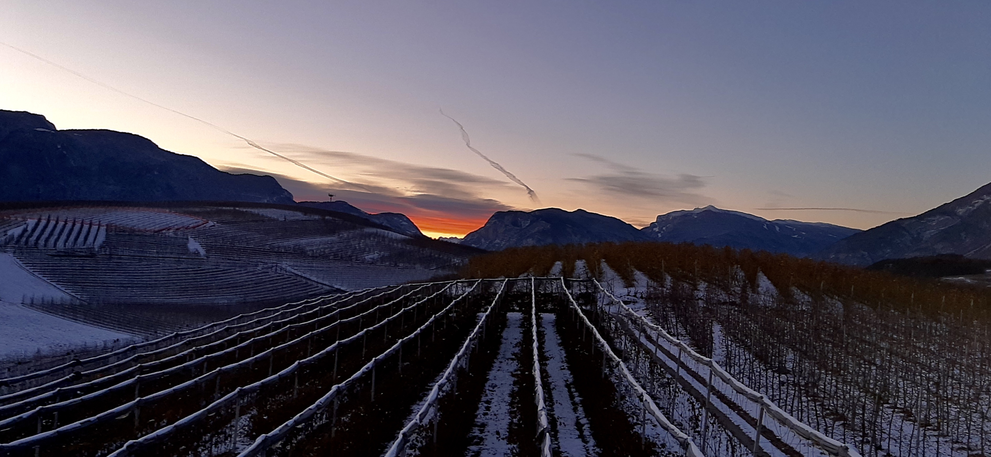 Piazzola all 'interno di una azienda agricola, immersa nel verde con vista montagne