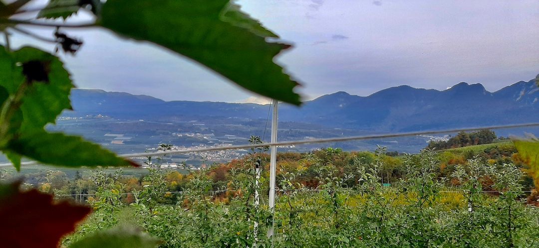 Piazzola all 'interno di una azienda agricola, immersa nel verde con vista montagne