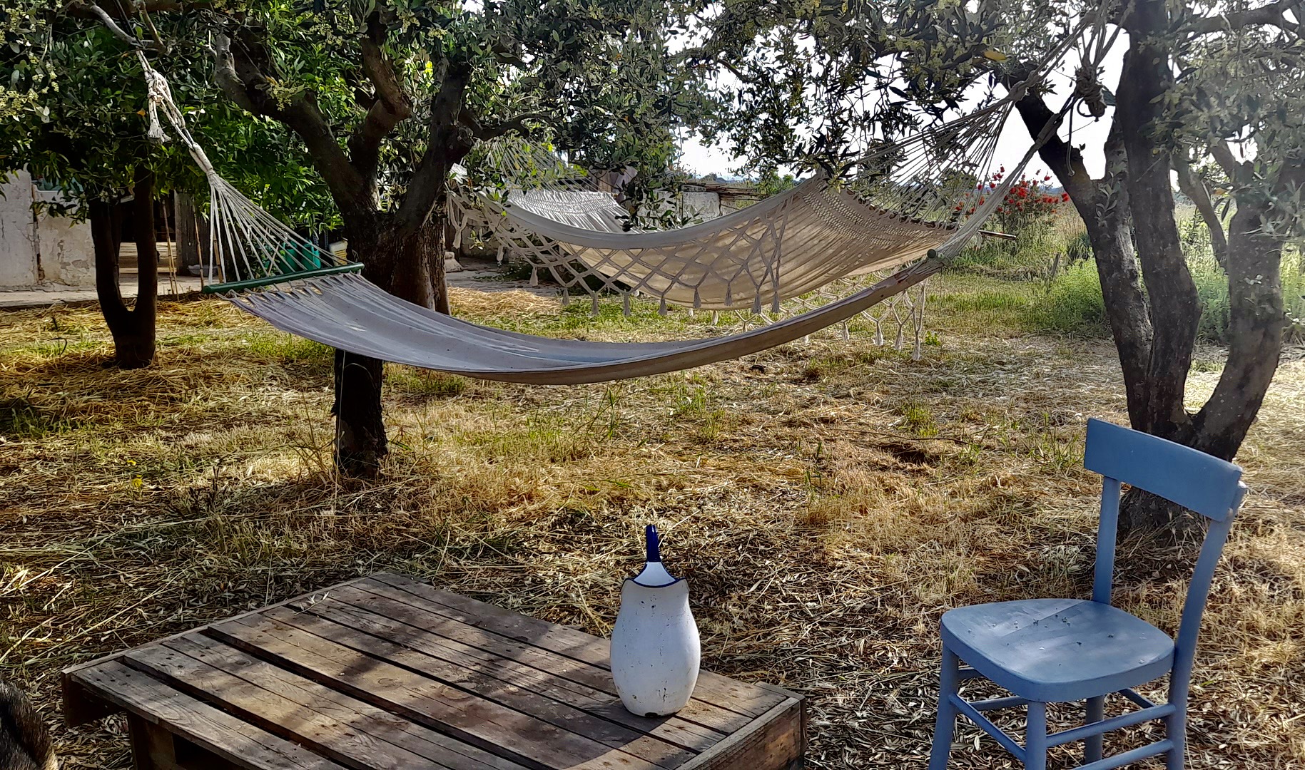 Tenda in campagna a Torre Guaceto