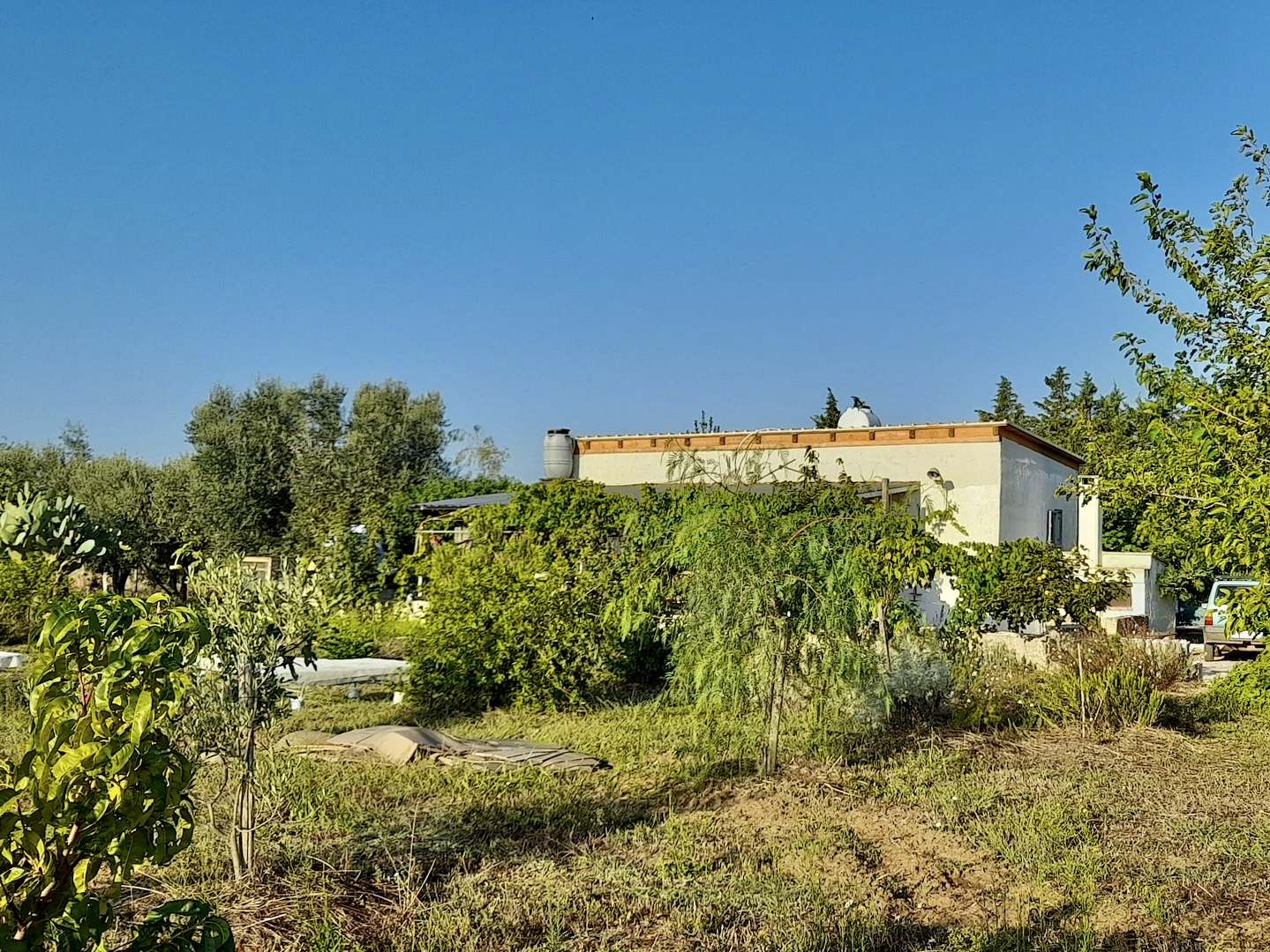 Tenda in campagna a Torre Guaceto
