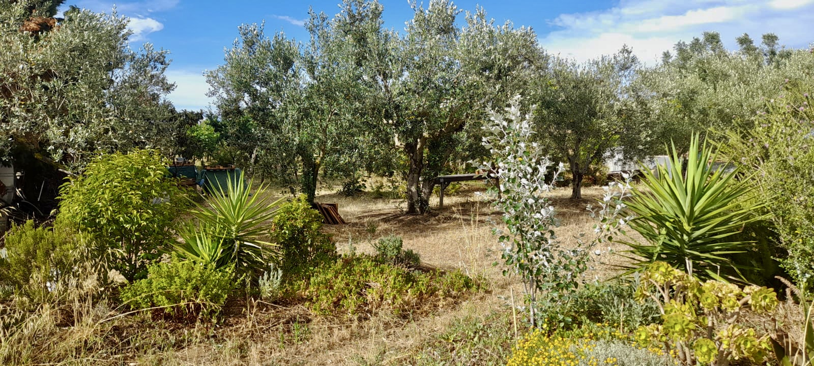 Tenda in campagna a Torre Guaceto