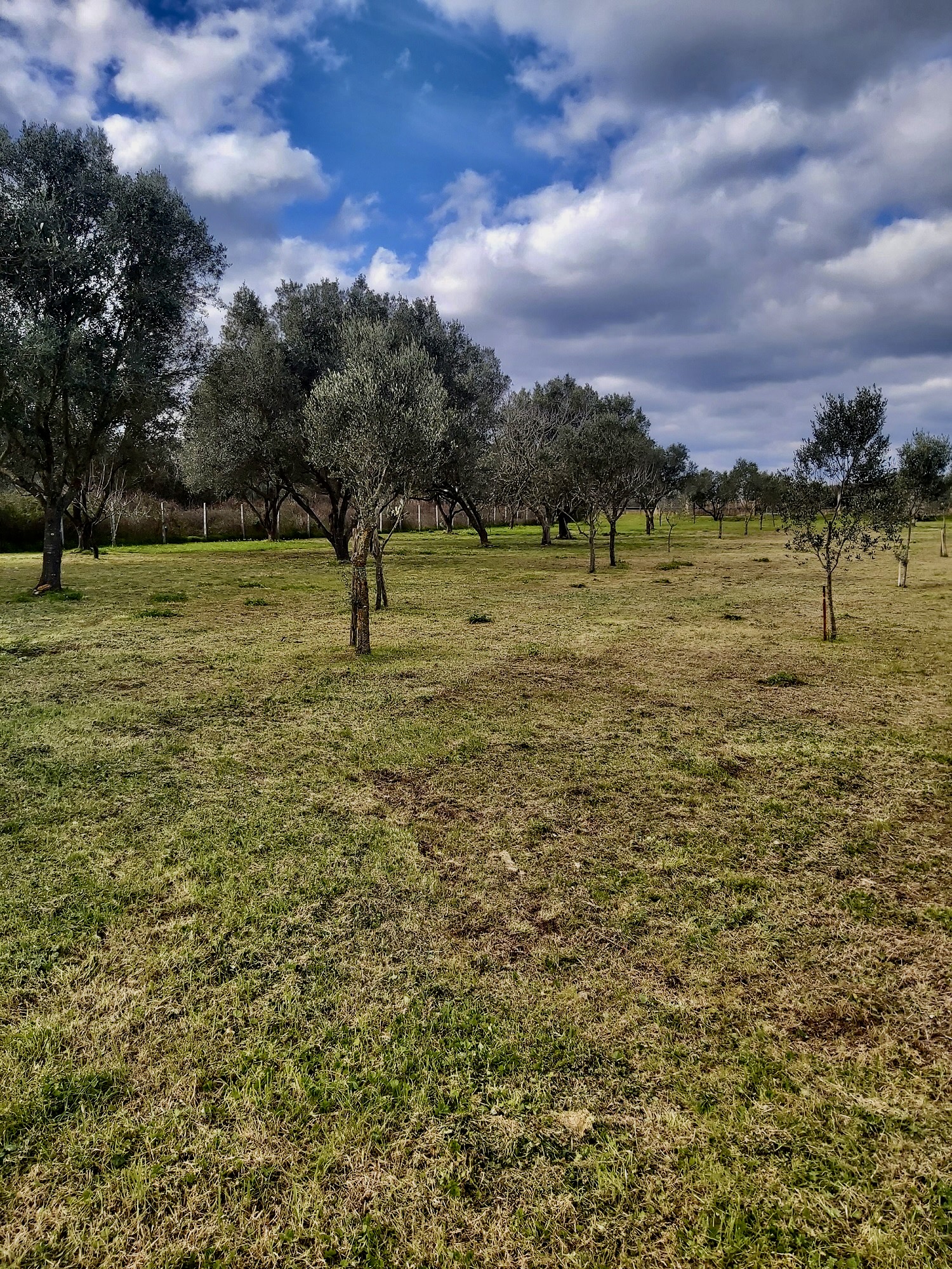Agricampeggio tra le bellezze della Calabria