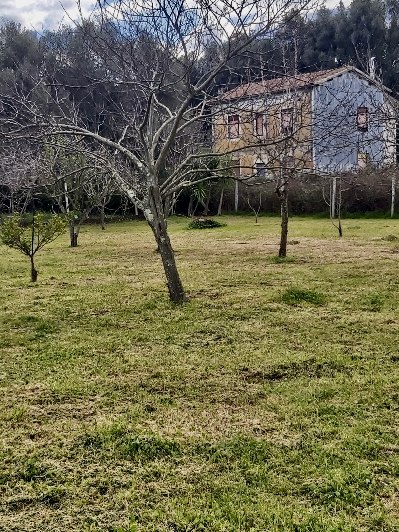 Agricampeggio tra le bellezze della Calabria