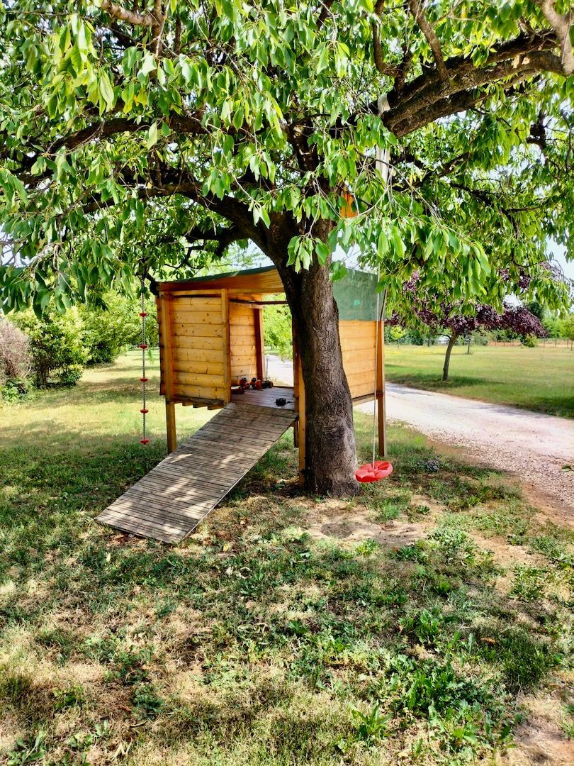 Grande giardino adatto a famiglie con bambini