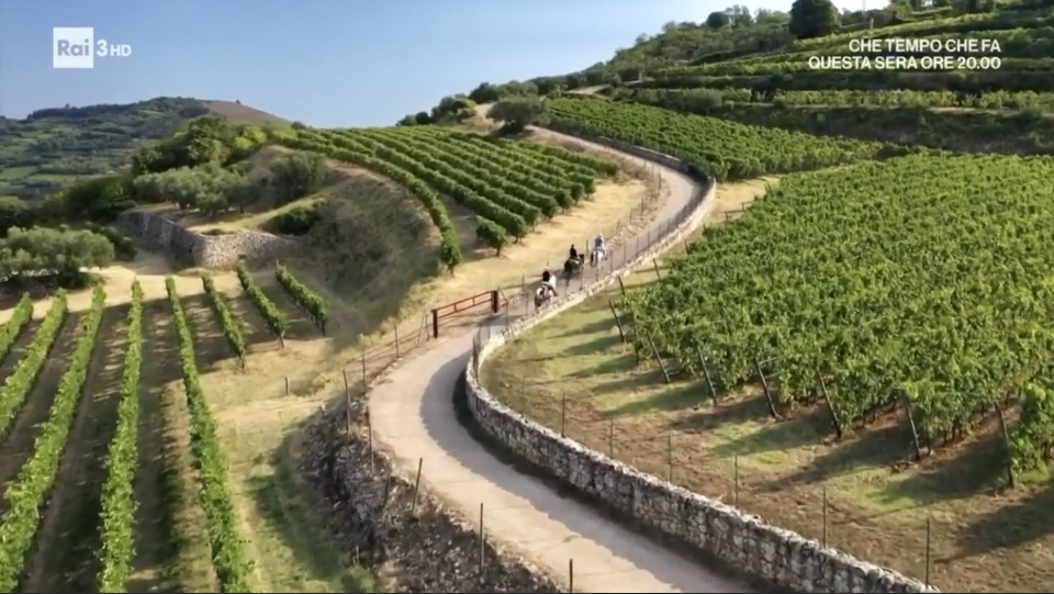 WEST VERONESE VOLCANIC WINE PARK