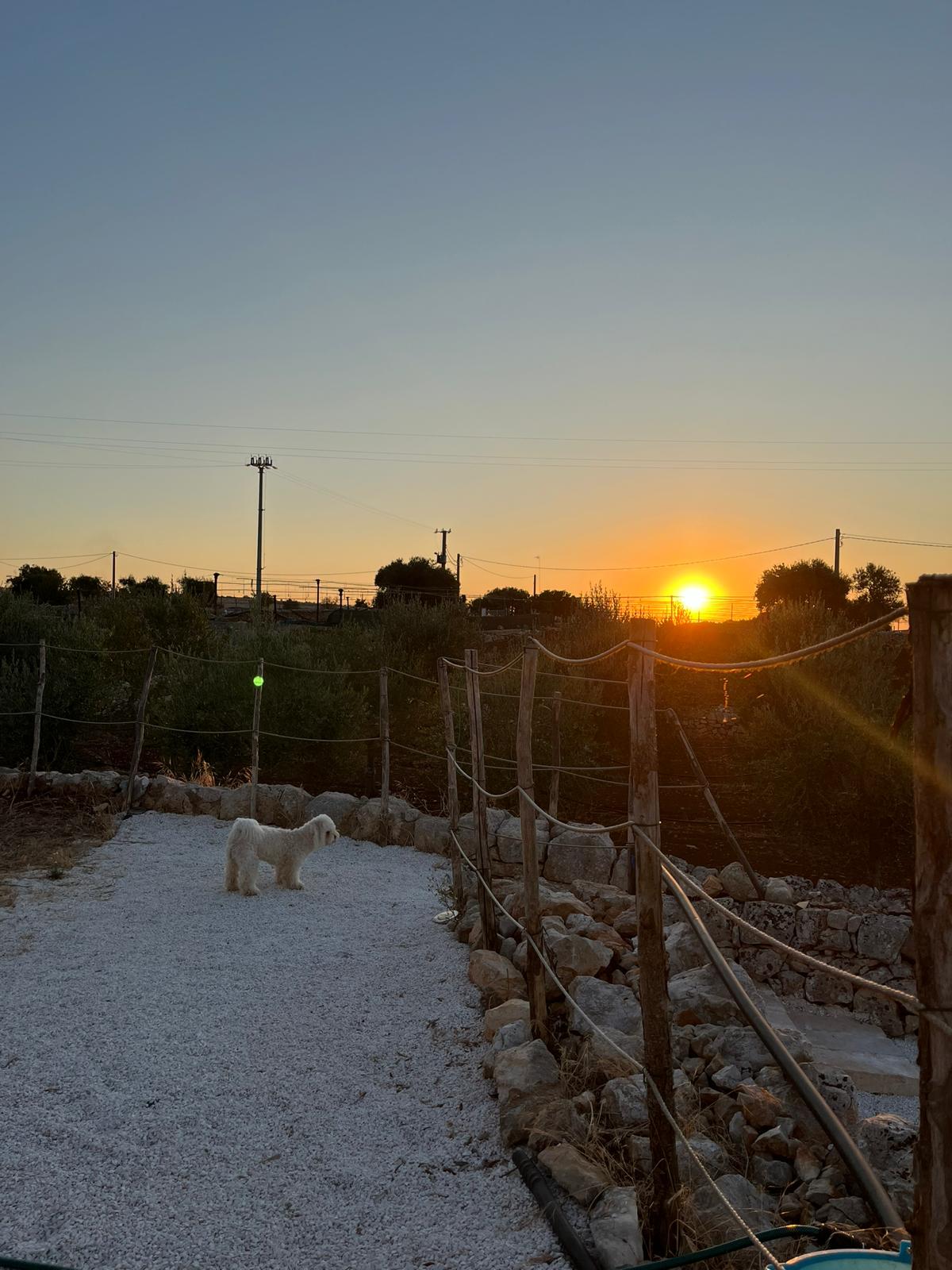Campingplatz mit Meerblick in Polignano