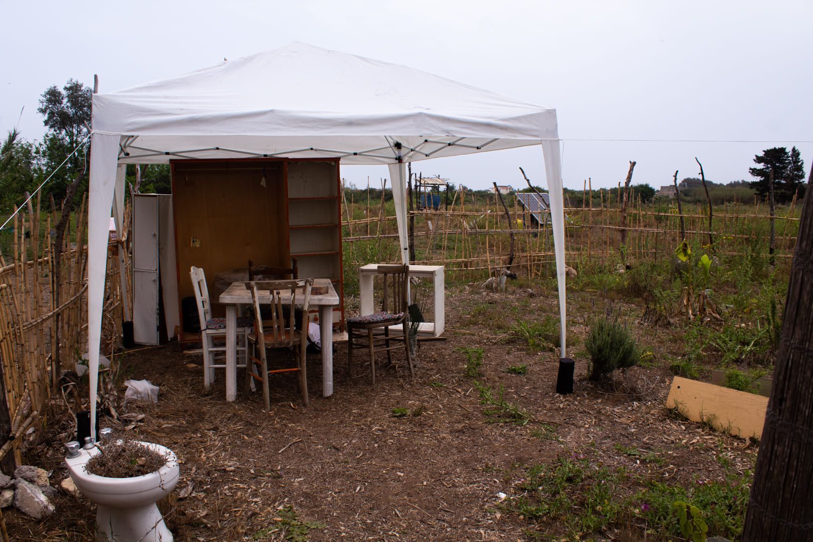 Food-foresting a due passi dal mar Ionio